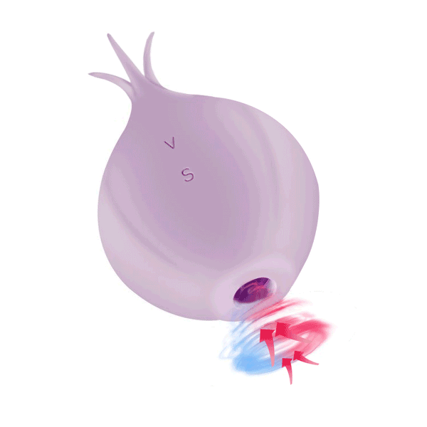Rose toy The Onion Sucking Egg Skipping Female Breast Stimulation Clitoris